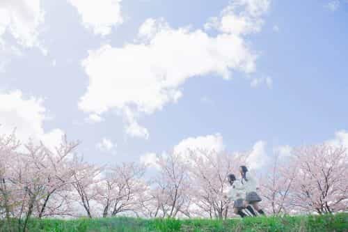 青い空に桜の木々が並び、高校生の女の子二人が走っている写真