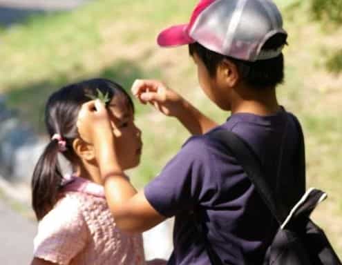 小学生の女の子の頭に小学生の男の子が葉をつけている写真