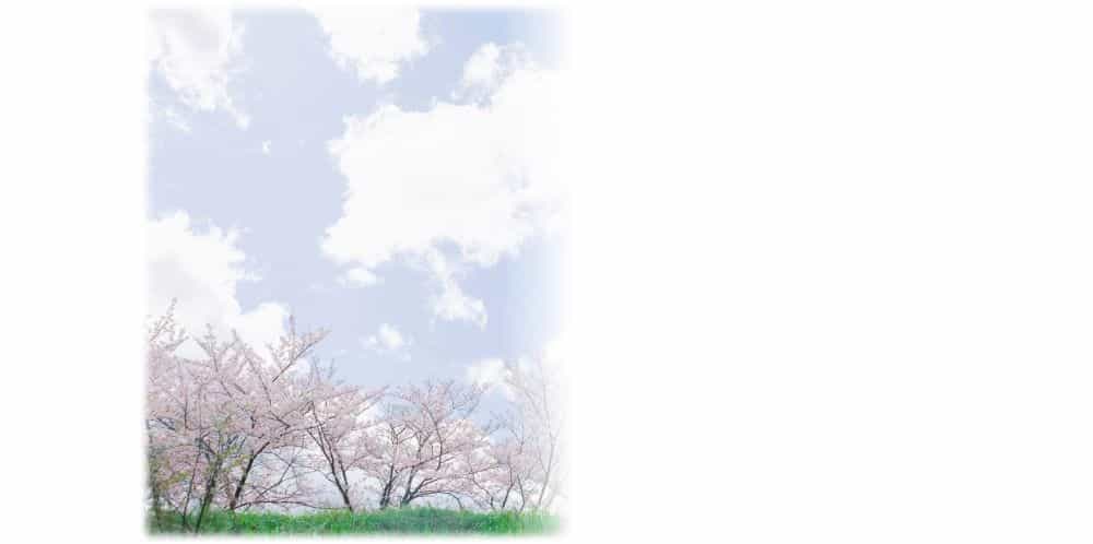 桜の木々と青い空の景色の写真